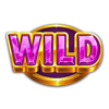 gem trio wild 1 symbol