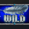 giants fortune megaways wild symbol