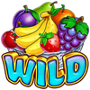 giga fruits wild symbol