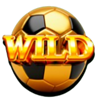 go goal wild symbol