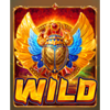 gods of sand wild scarab symbol