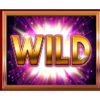gold cash free spins super wheel wild symbol