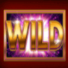 gold cash freespins wild symbol