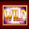 gold cash wild symbol
