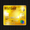 gold race deluxe wild symbol