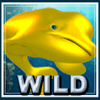 golden whale wild symbol