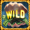 good fishes wild symbol