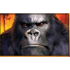 gorilla chief 2 wild symbol