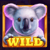 grand koala hold n link wild symbol