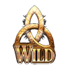 guardians of eire wild symbol