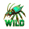 hacker crash jackpot wild symbol