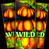 hallow reels wild 1 symbol