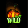 hallow reels wild 2 symbol