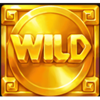 hand of gold wild symbol