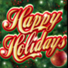happy holidays wild symbol