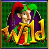 henry viii wild symbol
