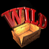 high noon wild symbol