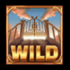 higher forces wild symbol