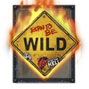 highway to hell wild symbol