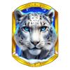 himalayan wild wild symbol
