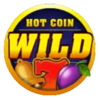 hot coin vip wild symbol