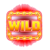 hot offer 2 wild symbol