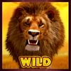 hot safari wild symbol