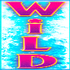 icy wilds wild symbol