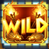 indi wild symbol