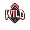 ink and ivory wild 3 symbol
