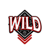 ink and ivory wild 5 symbol