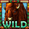intervision gaming buffalo run wild symbol