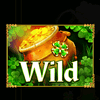 irish cheers wild symbol