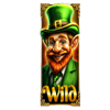 irish treasures wild symbol