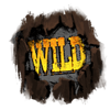 iron sight wild symbol