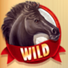 jackpot jockey wild symbol