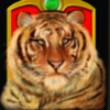 jade tiger wild symbol