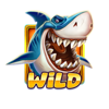 jawsome wild symbol