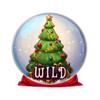 jolly cash wild symbol