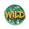 journey to the west wild symbol