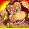 jungle monkeys wild symbol