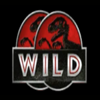 jurassic park double wild symbol