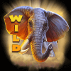 kalahari safari wild symbol