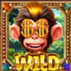 kick cash monkey wild symbol