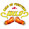 king of fighting wild symbol