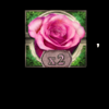 kiss of the rose power bet wild 1 symbol