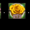 kiss of the rose power bet wild 2 symbol