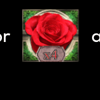 kiss of the rose power bet wild 3 symbol
