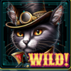 kitty carnival wild 1 symbol