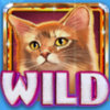 kitty glitter grand wild 4 symbol